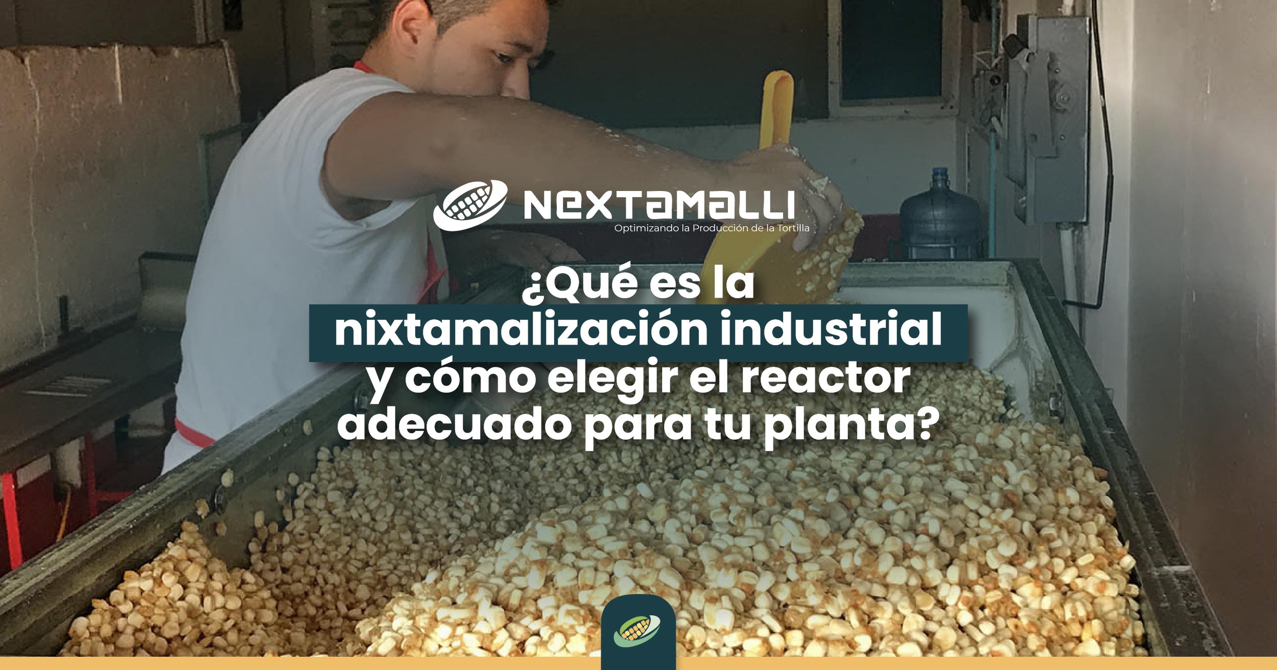 ¿Qué es la nixtamalización industrial y cómo elegir el reactor adecuado para tu planta? - https://nextamalli.com/