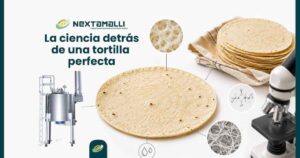 La ciencia detrás de una tortilla perfecta Nextamalli