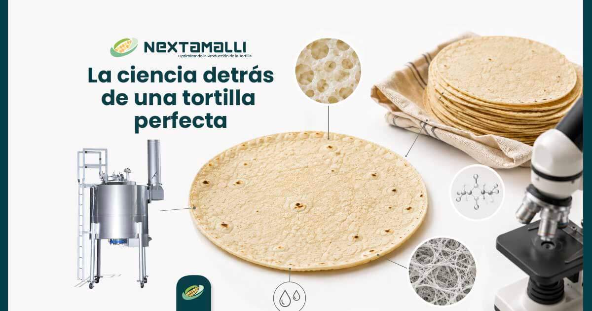 La ciencia detrás de una tortilla perfecta Nextamalli